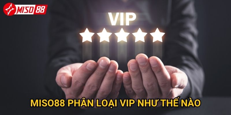 Điều gì khiến tài khoản VIP Miso88 trở nên đáng giá? 3 Miso88 phân loại VIP như thế nào?
